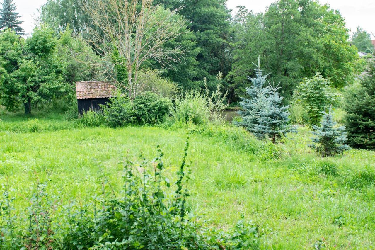 Ferienwohnung Auf Ehemaligen Bauernhof In Der Naehe Von Bamberg Walsdorf  Eksteriør billede